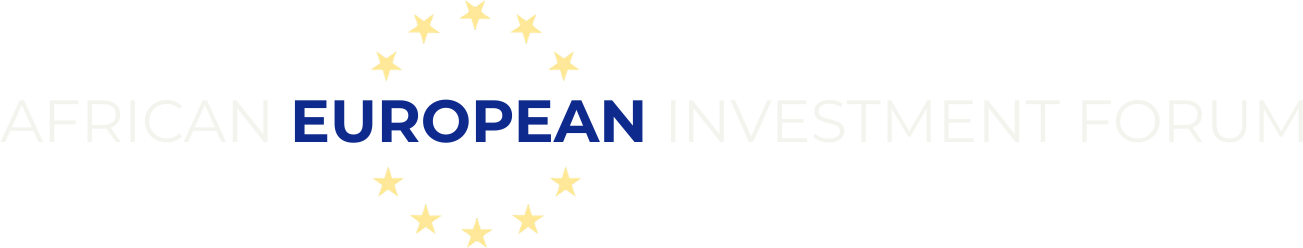 African European Investment Forum